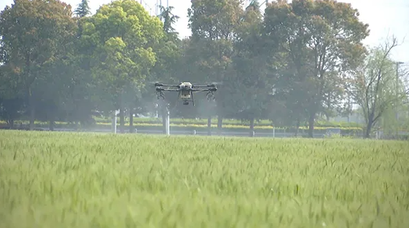 江蘇海門：打造數(shù)字化高標準農(nóng)田，為鄉(xiāng)村振興蓄勢賦能