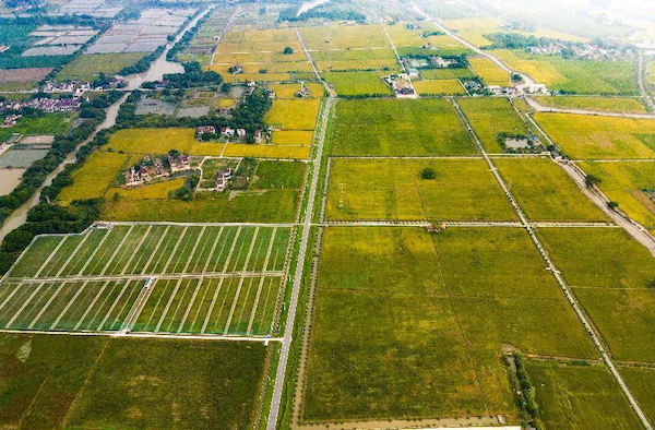 高標準農(nóng)田案例丨托普云農(nóng)助力善璉鎮(zhèn)農(nóng)田“數(shù)智”升級