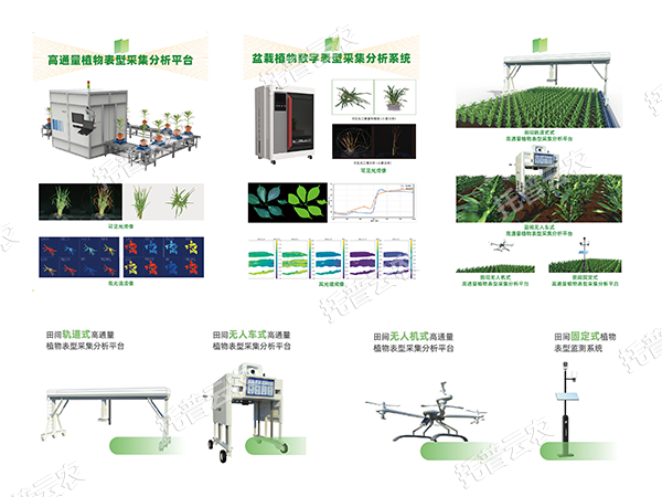 AI+農(nóng)業(yè)新突破！托普高通量植物表型智能分析平臺(tái)助力智慧農(nóng)業(yè)創(chuàng)新發(fā)展
