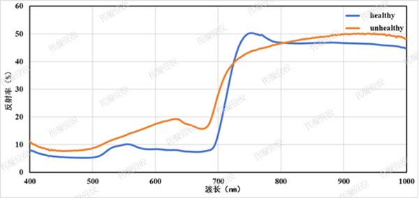 1722995322660540.jpg 1722995322660540.jpg