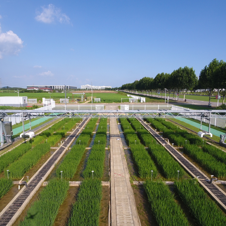 龍門式高通量表型采集分析平臺（地軌式）